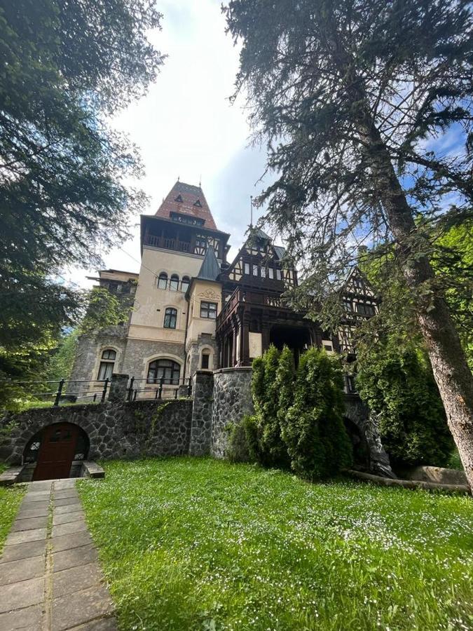Wood Studio Sinaia Exterior photo