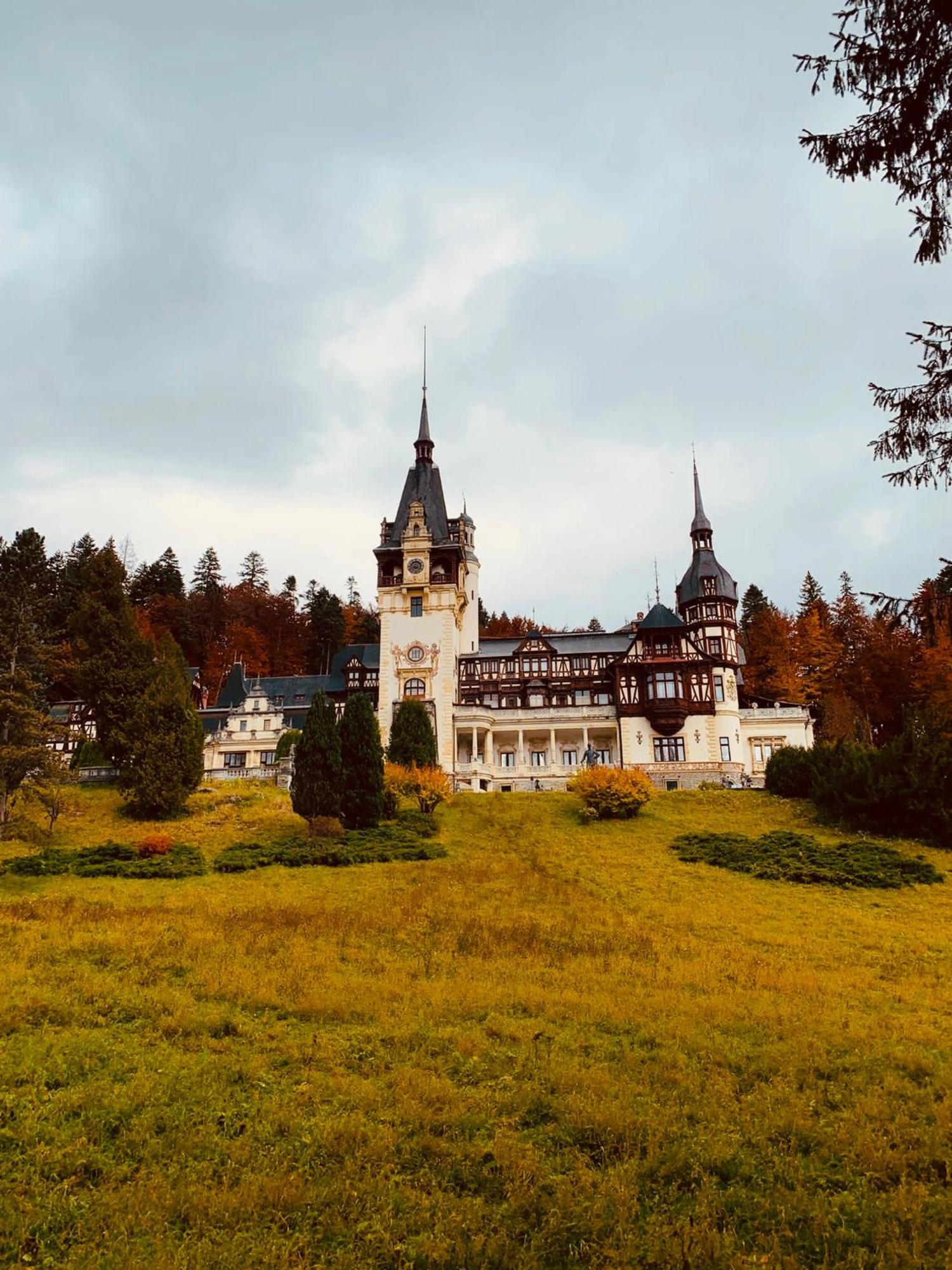 Wood Studio Sinaia Exterior photo